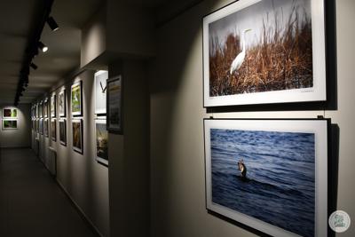 Wystawy i wernisaże w Galerii Leśnej oraz Kuźni Kultury "Dawna Kaplica"