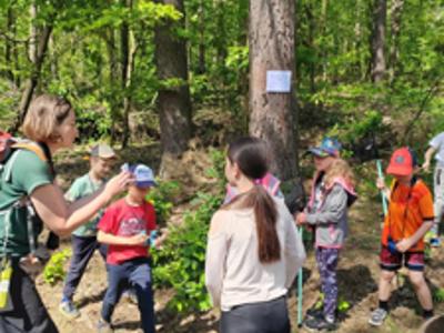 Relacja z DZIKIEGO SPACERU realizowanego w ramach RekreAKCJI/ Zielonowo 07.06.2025