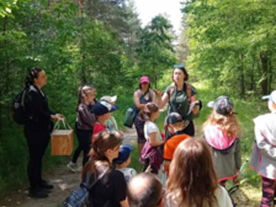 Relacja z DZIKIEGO SPACERU realizowanego w ramach RekreAKCJI/ Zielonowo 07.06.2025