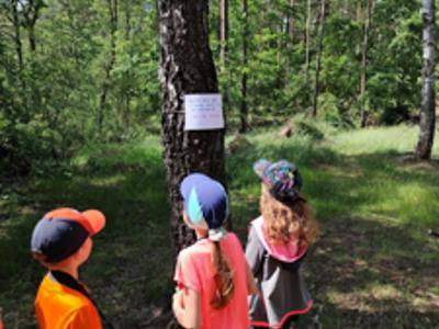 Relacja z DZIKIEGO SPACERU realizowanego w ramach RekreAKCJI/ Zielonowo 07.06.2025