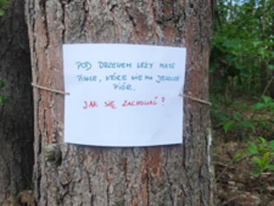 Relacja z DZIKIEGO SPACERU realizowanego w ramach RekreAKCJI/ Zielonowo 07.06.2025