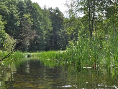 Relacja z pierwszego spływu kajakowego Łyną realizowanego w ramach RekreAKCJI/ 20.07.2025