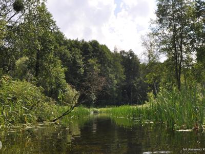 Relacja z pierwszego spływu kajakowego Łyną realizowanego w ramach RekreAKCJI/ 20.07.2025