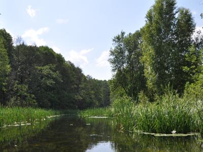 Relacja z pierwszego spływu kajakowego Łyną realizowanego w ramach RekreAKCJI/ 20.07.2025