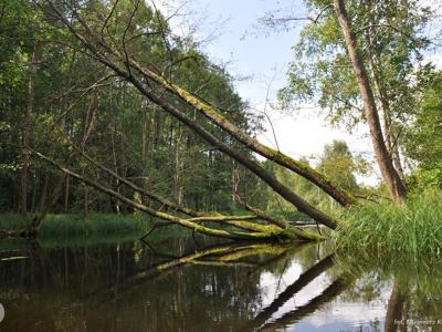 Relacja z pierwszego spływu kajakowego Łyną realizowanego w ramach RekreAKCJI/ 20.07.2025