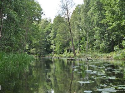 Relacja z pierwszego spływu kajakowego Łyną realizowanego w ramach RekreAKCJI/ 20.07.2025