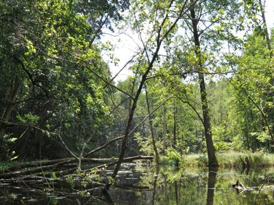 Relacja z pierwszego spływu kajakowego Łyną realizowanego w ramach RekreAKCJI/ 20.07.2025