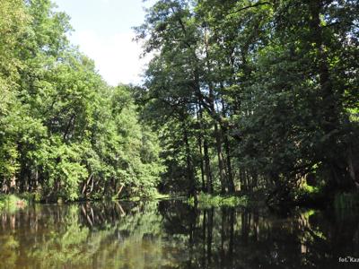 Relacja z pierwszego spływu kajakowego Łyną realizowanego w ramach RekreAKCJI/ 20.07.2025