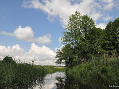 Relacja z pierwszego spływu kajakowego Łyną realizowanego w ramach RekreAKCJI/ 20.07.2025