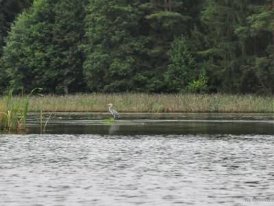 Spływ kajakowy realizowany w ramach RekreAKCJI rzeką Łyną/ 07.09.2025