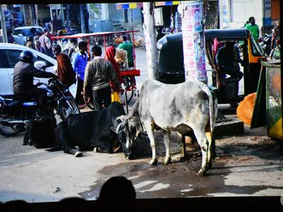 KLUB PODRÓŻNIKA_XI edycja_2 spotkanie_Indie_25.11.2025