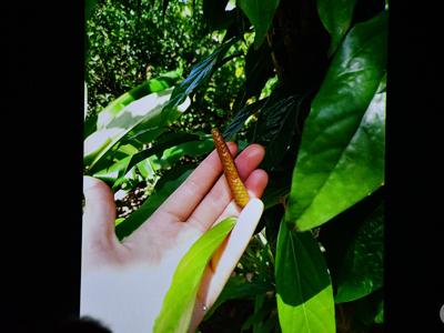 KLUB PODRÓŻNIKA– „Południowy Wietnam – prawdziwy Sajgon”/ 09.12.2025