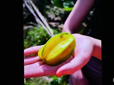 KLUB PODRÓŻNIKA– „Południowy Wietnam – prawdziwy Sajgon”/ 09.12.2025