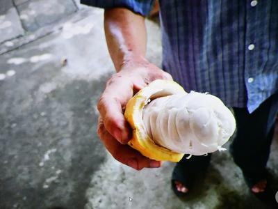 KLUB PODRÓŻNIKA– „Południowy Wietnam – prawdziwy Sajgon”/ 09.12.2025