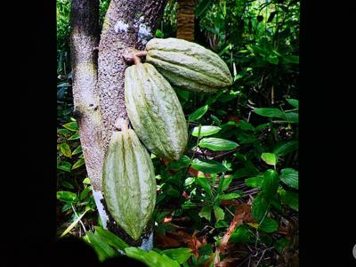 KLUB PODRÓŻNIKA– „Południowy Wietnam – prawdziwy Sajgon”/ 09.12.2025