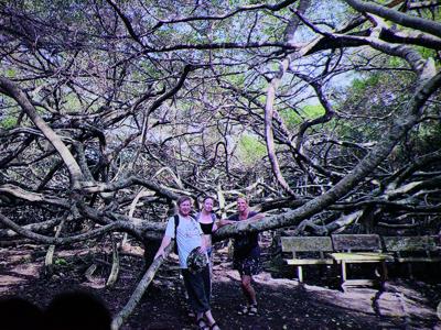 KLUB PODRÓŻNIKA– „Południowy Wietnam – prawdziwy Sajgon”/ 09.12.2025