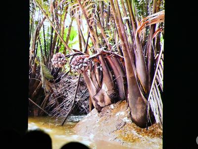 KLUB PODRÓŻNIKA– „Południowy Wietnam – prawdziwy Sajgon”/ 09.12.2025