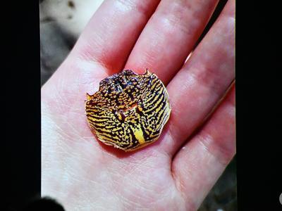 KLUB PODRÓŻNIKA– „Południowy Wietnam – prawdziwy Sajgon”/ 09.12.2025