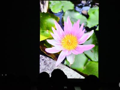 KLUB PODRÓŻNIKA– „Południowy Wietnam – prawdziwy Sajgon”/ 09.12.2025