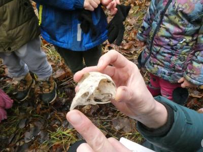 DZIKI SPACER realizowany w ramach RekreAKCJI/ Stawiguda 14.12.2025