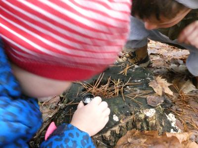 DZIKI SPACER realizowany w ramach RekreAKCJI/ Stawiguda 14.12.2025