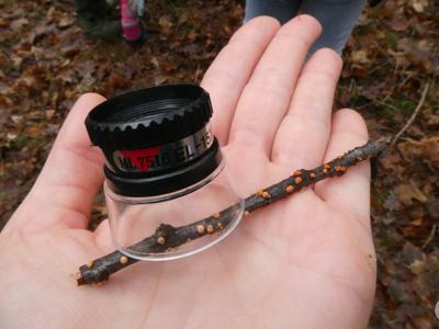 DZIKI SPACER realizowany w ramach RekreAKCJI/ Stawiguda 14.12.2025