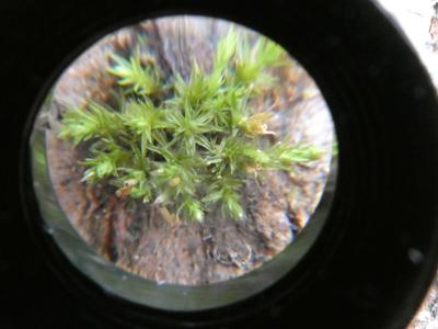 DZIKI SPACER realizowany w ramach RekreAKCJI/ Stawiguda 14.12.2025