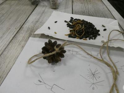 DZIKI SPACER realizowany w ramach RekreAKCJI/ Stawiguda 14.12.2025