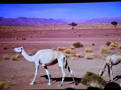 KLUB PODRÓŻNIKA/ XI edycja/ 4 spotkanie/ MAROKO 13.01.2026