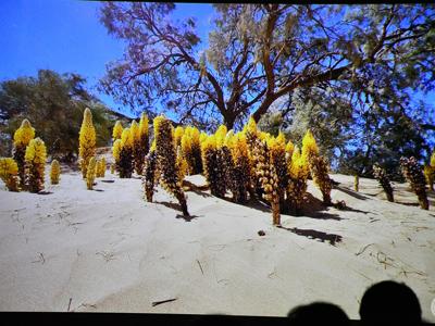 KLUB PODRÓŻNIKA/ XI edycja/ 4 spotkanie/ MAROKO 13.01.2026