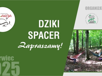 DZIKI SPACER realizowany w ramach RekreAKCJI/ Zielonowo