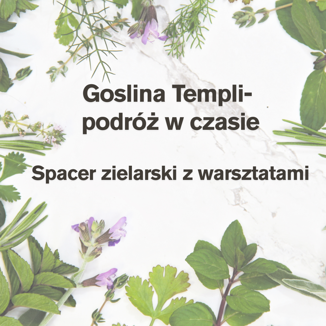 grafika informacja o spacerze zielarskim, tło kwiaty i zioła