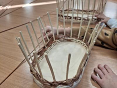 podstawa do wyplatania koszyka z wilkiny 