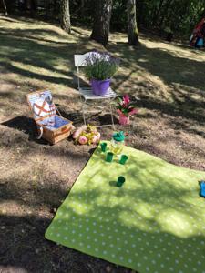 Piknik Senioralny 5 lipca 2025r. 