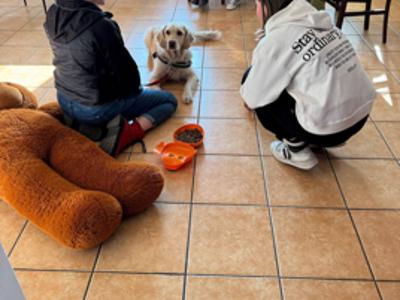Dogoterapia w świetlicy 6