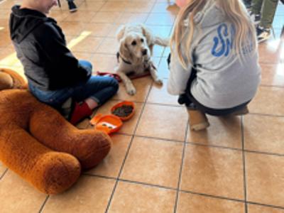 Dogoterapia w świetlicy 5