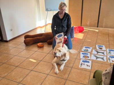 Dogoterapia w świetlicy 4