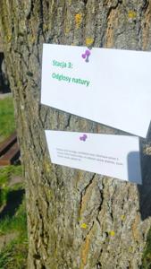 Zajęcia grupy Kreatywnie Zakręceni