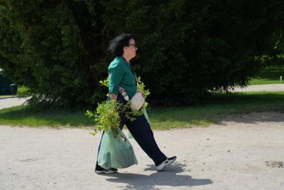 Pani niosąca siatki pełne roślinek.