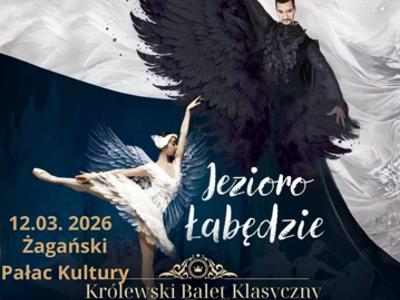 Plakat jezioro łabędzie