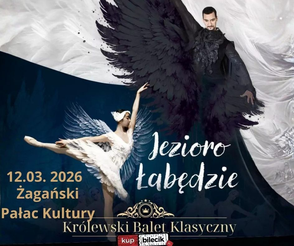 Plakat jezioro łabędzie