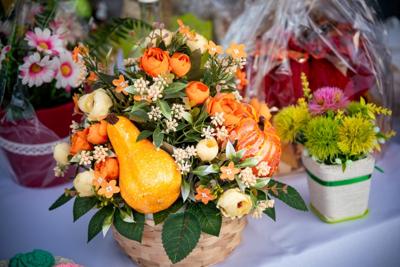 Zdjęcia z pikniku zorganizowanego z okazji obchodów 15 - lecia Stowarzyszenia 