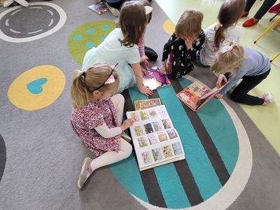 samodzielne przeglądanie książek 