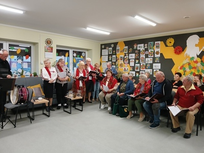 występ zespołu "Kwiaty polne"