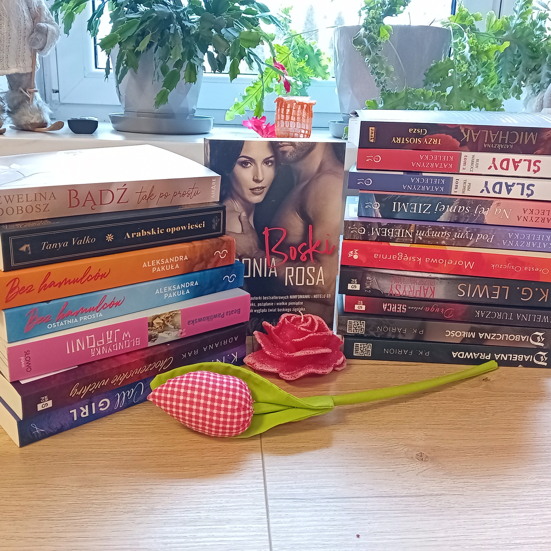 nowości zakupione przez bibliotekę 