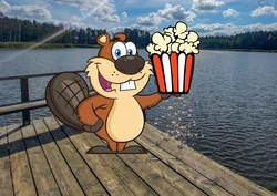Zdjęcie