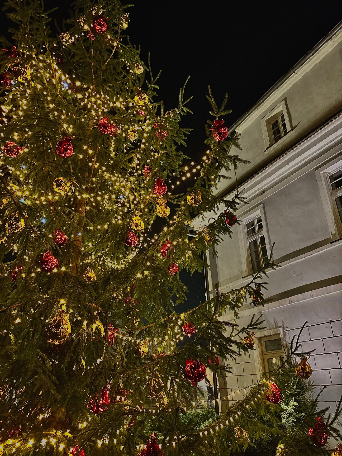 img_2776.jpeg [1440x1920]