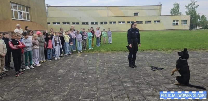 img-20260115-wa0002.jpg [800x389]