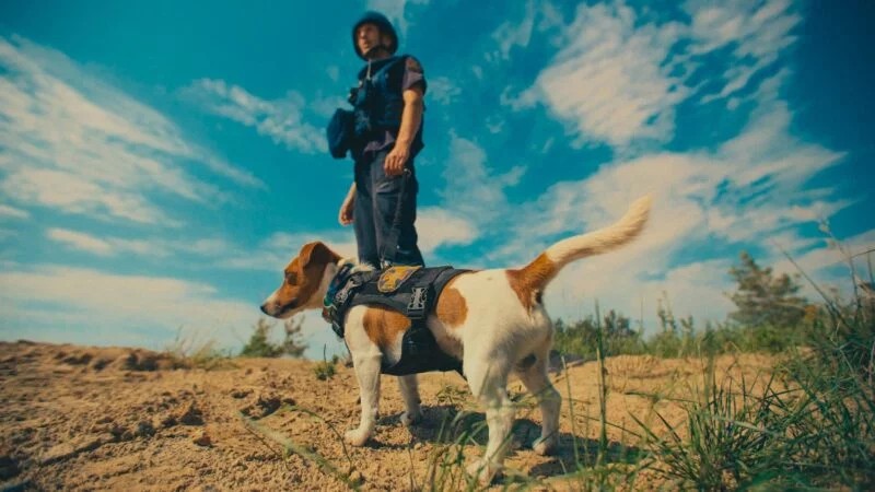 my_nasze....kadr.jpg [800x450]