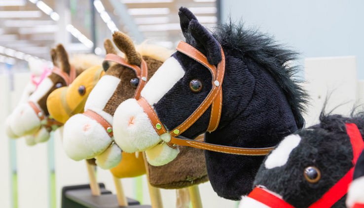 hobby-horse.png [738x422]